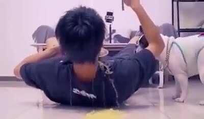 Не только азияты фейк, но и их пёсели.