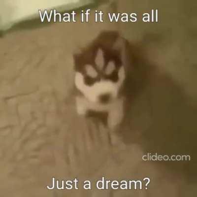 Wjat if it was a dream?