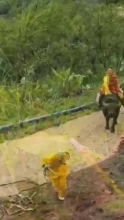 Journey to the South East