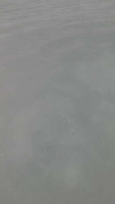 Little sloppy out last weekend. 