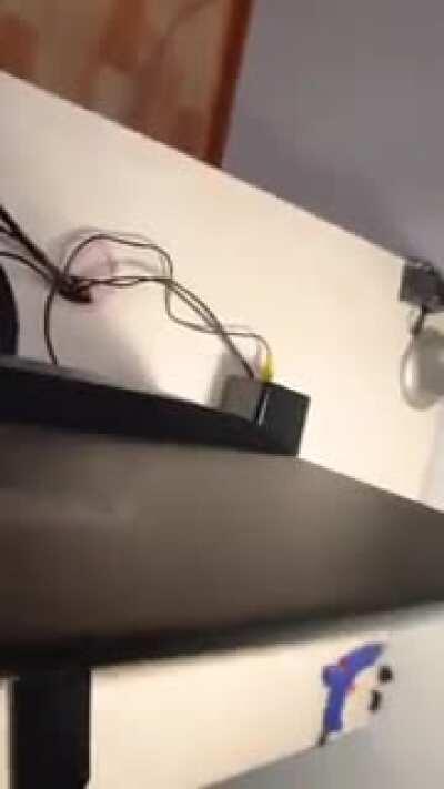 Todo un gil el compa