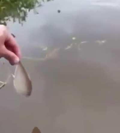 I think this belongs here