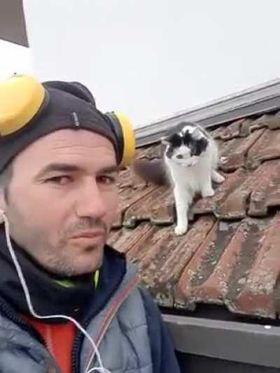 blursed_cat language