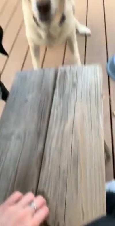 Do you like it? Really? What do you like about it?