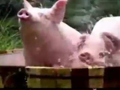 pov: laban ni pacquiao pero commercial break pa