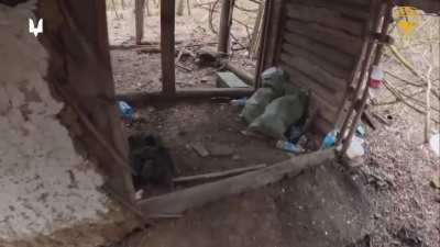 Ukrainian Rangers of the 6th Special Purpose Regiment successfully took a small settlement in the Kursk region (Russia) and eliminated Russian and North Korean soldiers. December 2024.