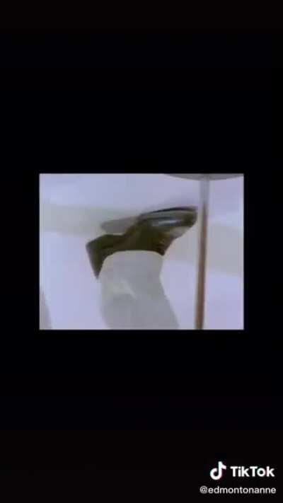 That optical illusion doe