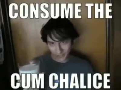 oink oink hows the coding going