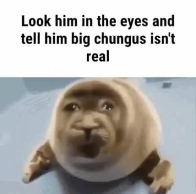 Pretty self explanatory