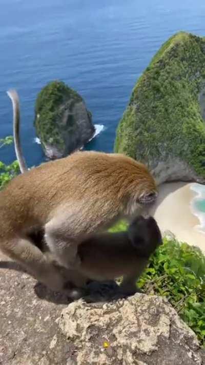 There are chances you’ve been right where they’re doing it!