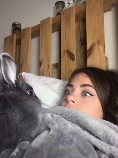 Did the bunny just copy me? Twice??