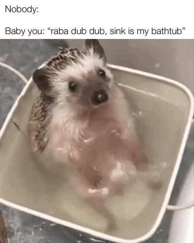 some sort of a tapdancer