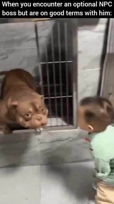 I cannot understand why the most affectionate pittbulls in the world always have names like 𝙈𝙤𝙧𝙩𝙞𝙢𝙚𝙧 𝙩𝙝𝙚 𝘿𝙚𝙨𝙩𝙧𝙤𝙮𝙚𝙧 or 𝘽𝙧𝙪𝙩𝙪𝙨 𝙩𝙝𝙚 𝙉𝙚𝙘𝙠𝙜𝙧𝙞𝙣𝙙𝙚𝙧.