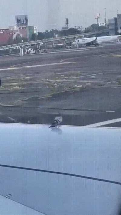 When you forget to sit in a chair