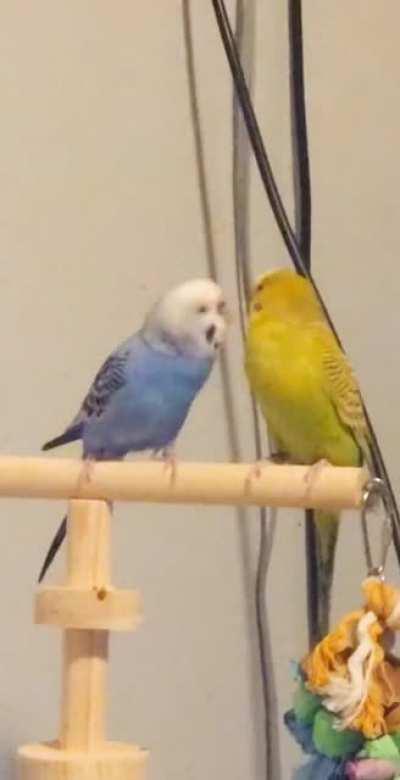 Can't tell if they love, or hate each other.....