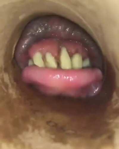 what the maggots in yo mama see when the XBOX kid gets there