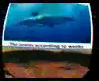 r/goodanimemes but actually good