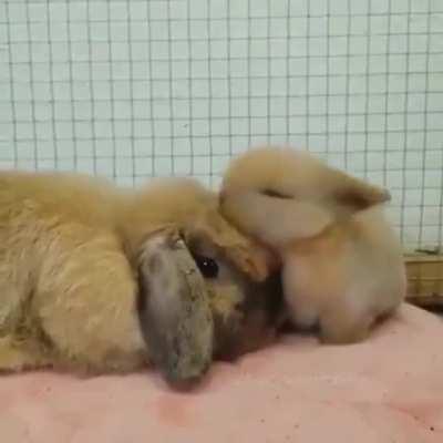 He really loves his mama