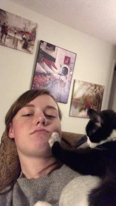 The cuddliest of our three cats, Boots determined I required a (slightly aggressive) face massage