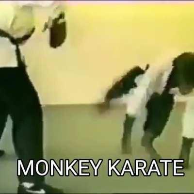 MONKEY KARATE