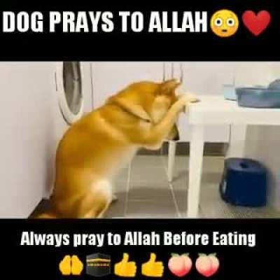 🕋🕋🕋🕋🕋🕋