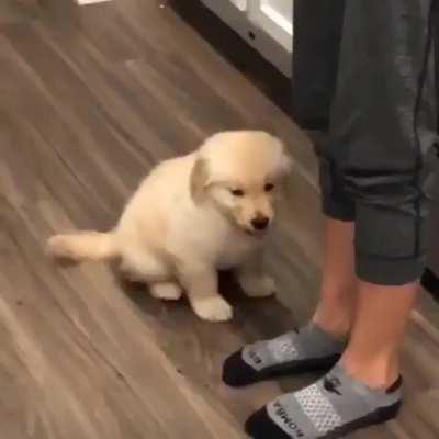 Won’t leave you until I’m Kissed