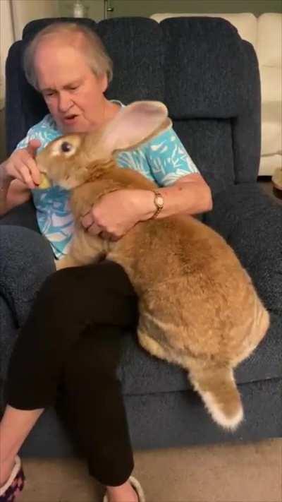 Любимый внук