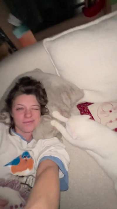 My kneads samwise gamgee