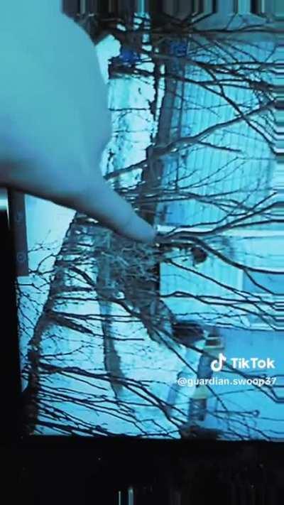 The Deranged Avatar: The one who sees all.