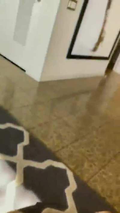 Violet gets her reward for a job well done