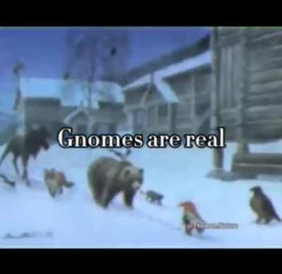 Gnomes are real. (just hunting them because I'm envoious.)