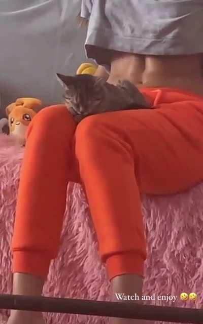 Rose is now my spirit animal