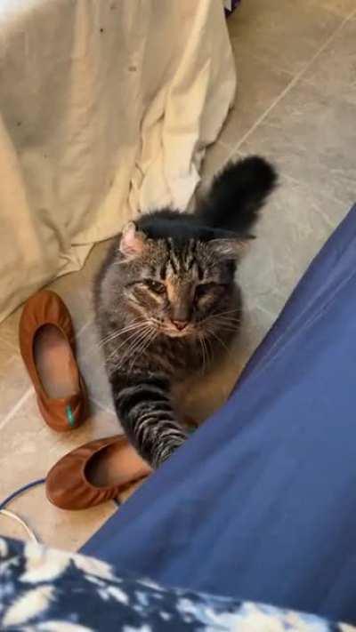 Maggie presents her 6 a.m. discourse on why breakfast should not have to wait until 8.