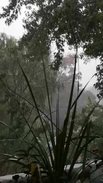 Enjoying the downpour from my balcony :)