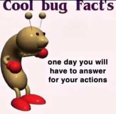 Cool bug facts bro