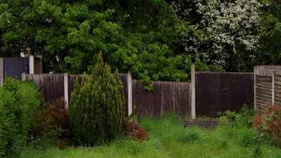 Back Garden Rain - A Dull English Evening.