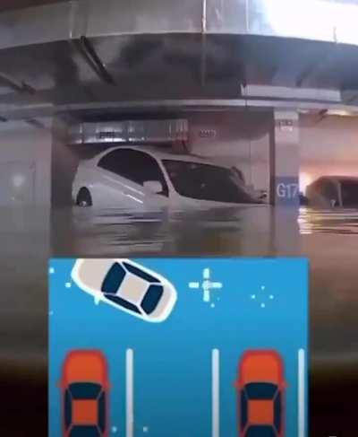 maybe post good memes guys :3c pretty please 