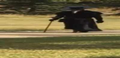 My plague doctor walking out of the dungeon the last one alive but strapped with gold and trinkets.