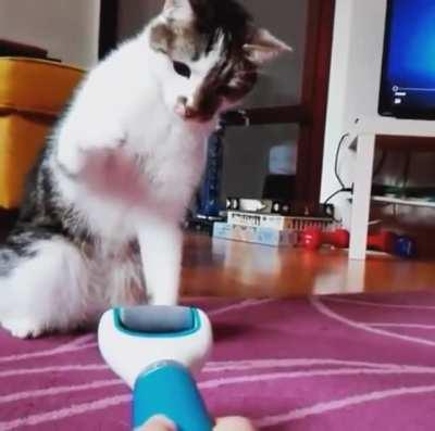 Hmc as I walk with 2 feet