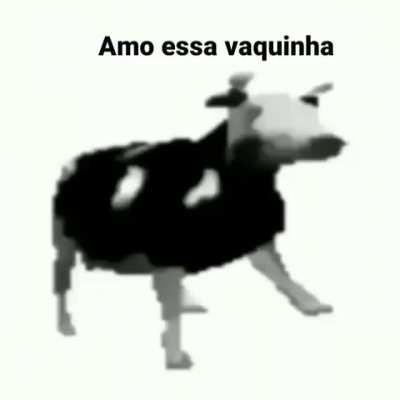 Vaquinha