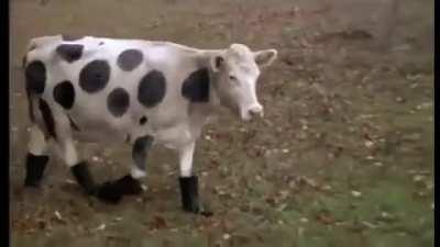 These Boots Were Made for Walking