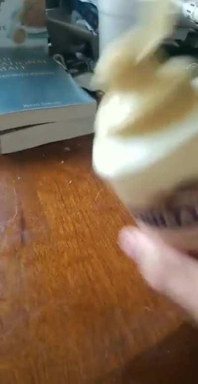 Blursed_Chocolate sauce