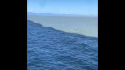 What Sailing from The Shores of Plenty to The Wilds is like