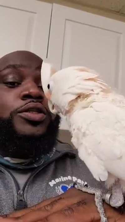 GME Megathread for March 19, 2021