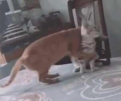 This is what 2020 needs