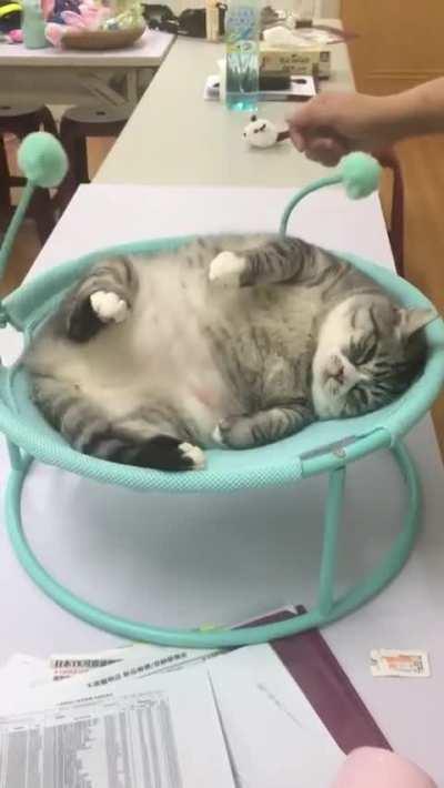 Jabba the Hutt enjoys belly rubs.