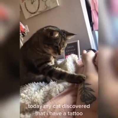 ‘I am confused...’