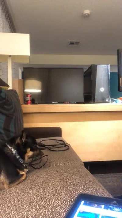 Me (and Prints) setting up my pc for a long hotel stay