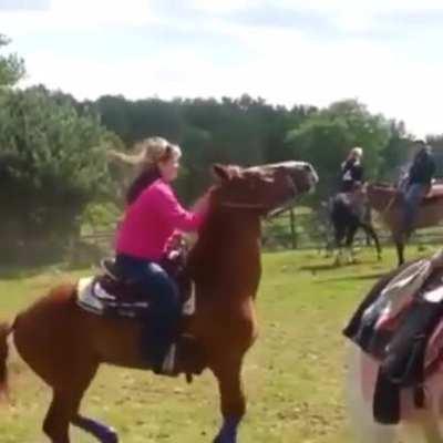 Trusting this horse