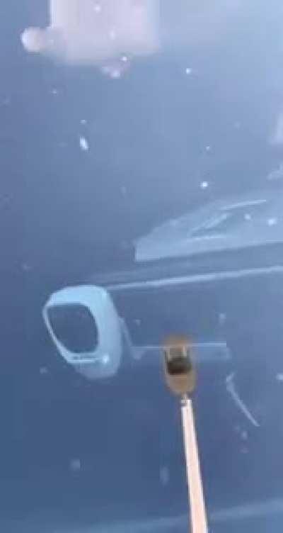 Police Officer Caught w/ Prostitute